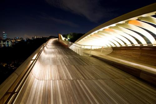 Waves bridge by RSP Architects in Singapore